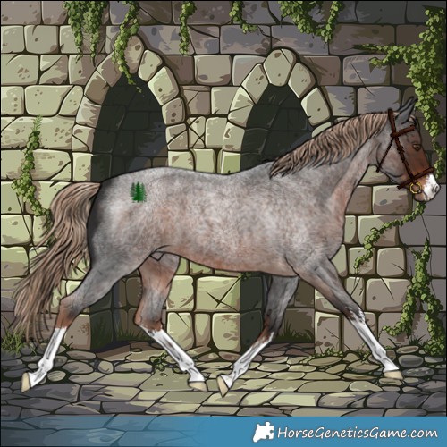 Horse Color:White Spotted Liver Red Roan