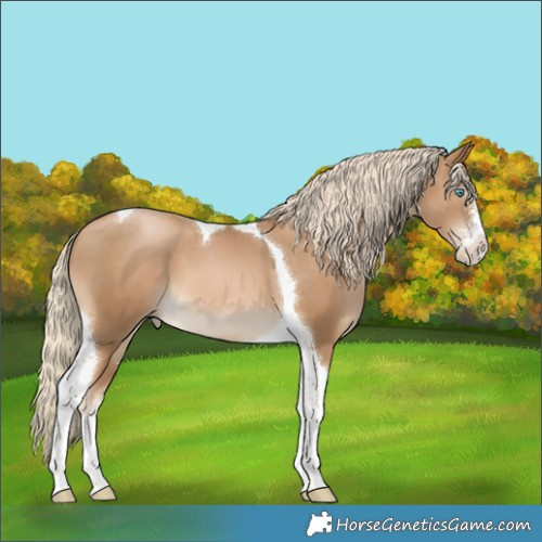 Horse Color:Chocolate Palomino Pearl Sabino Tobiano 