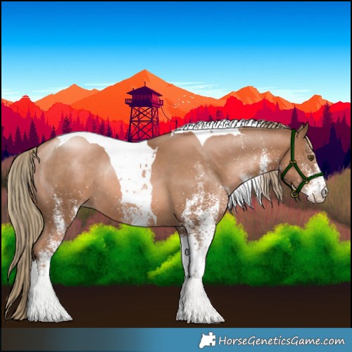Horse Color:White Spotted Liver Chestnut Pearl Tobiano Rabicano 