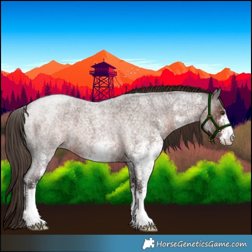 Horse Color:White Spotted Liver Red Roan Rabicano 