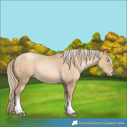 Horse Color:White Spotted Chocolate Palomino Pearl Dun Tobiano 
