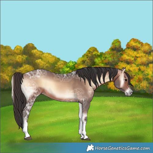 Horse Color:Brown Ice Onyx Tobiano 