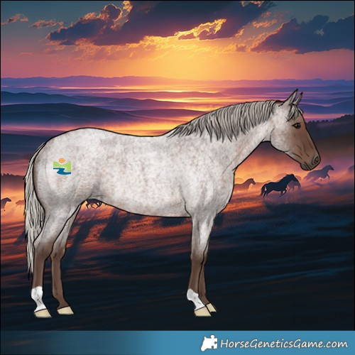 Horse Color:Silver Blue Roan Rabicano 
