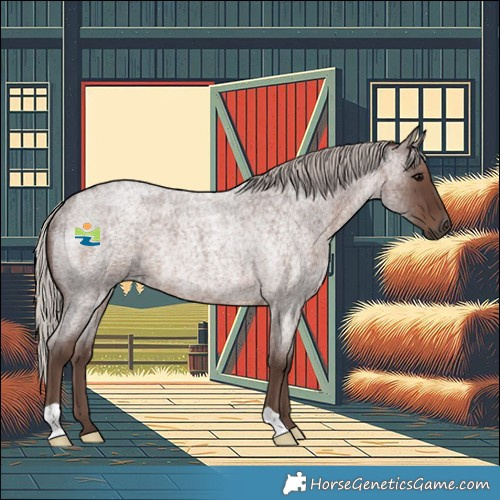 Horse Color:Silver Blue Roan Rabicano