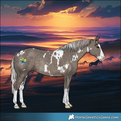 Horse Color:White Spotted Silver Black Splash Rabicano 