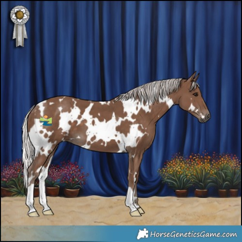 Horse Color:White Spotted Silver Black 