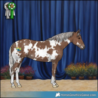 Horse Color:White Spotted Silver Black 