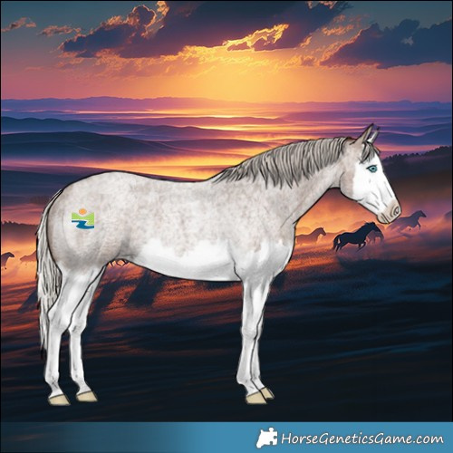 Horse Color:Silver Blue Roan Splash Rabicano 