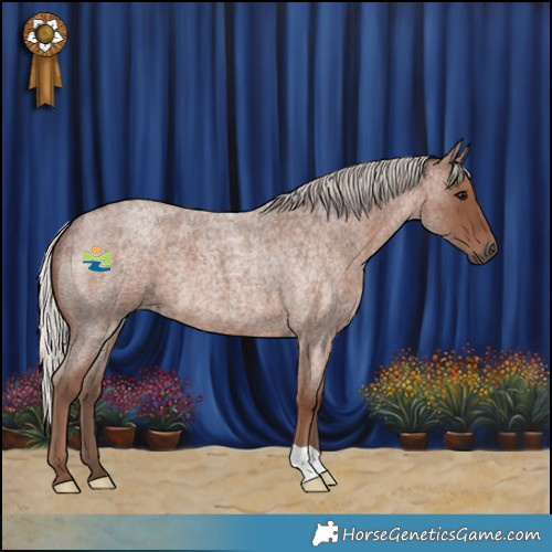 Horse Color:Silver Blue Roan