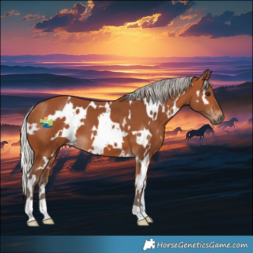 Horse Color:White Spotted Silver Bay 