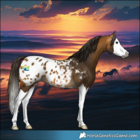 Horse Color:Gray Buckskin Splash Blanket