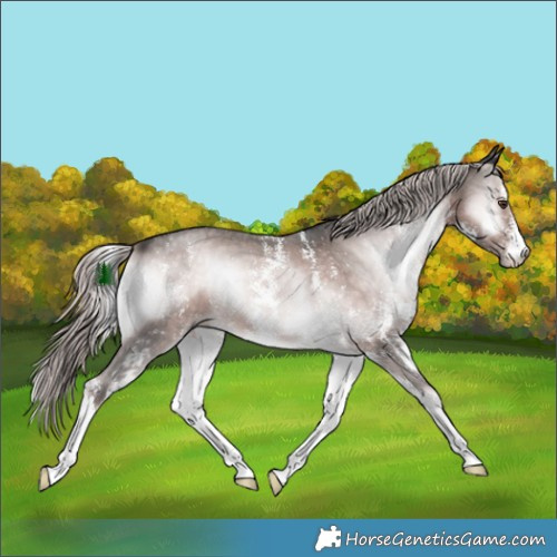 Horse Color:Platinum Chocolate Palomino Onyx Sabino