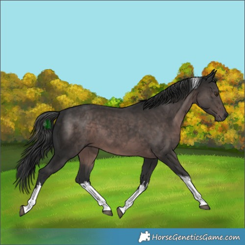 Horse Color:Platinum White Spotted Liver Chestnut Tobiano