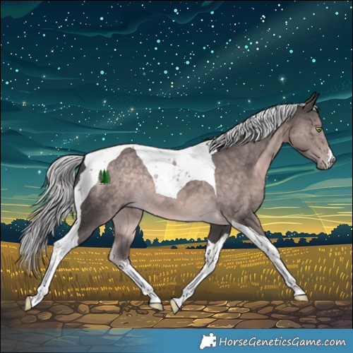 Horse Color:Platinum White Spotted Chocolate Palomino Tobiano Rabicano 