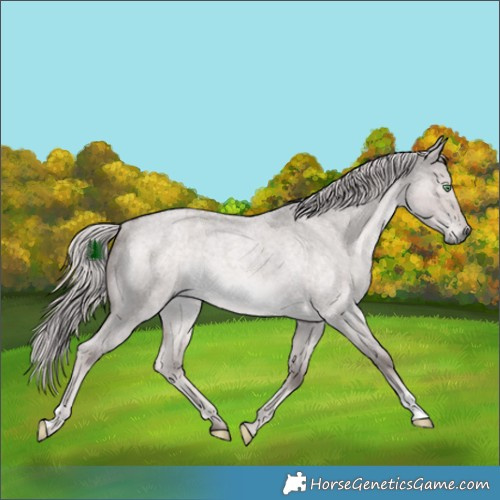 Horse Color:Platinum Chocolate Palomino Roan Dun Rabicano