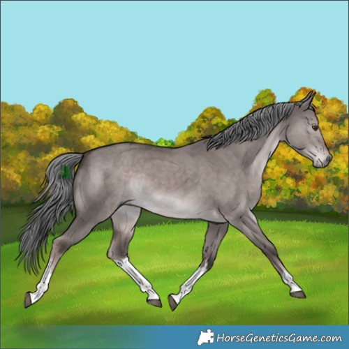 Horse Color:Platinum White Spotted Liver Red Dun Mushroom Rabicano 