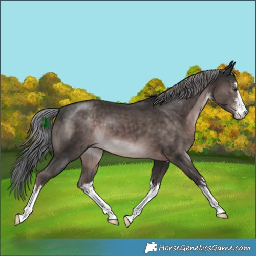 Horse Color:Platinum White Spotted Liver Chestnut Mushroom 