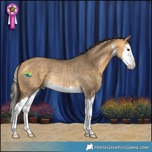 Horse Color:White Spotted Buckskin Dun Splash Rabicano 