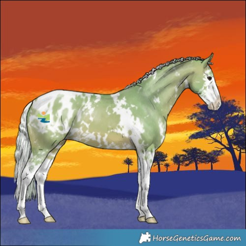 Horse Color:Watercolor White Spotted Silver Bay Dun Splash Blanket 