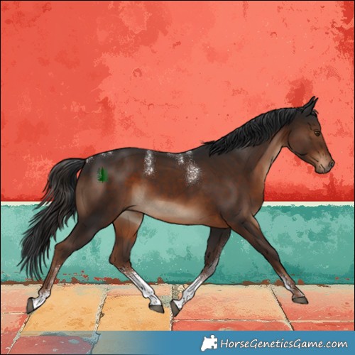 Horse Color:Powder White Liver Chestnut Sabino