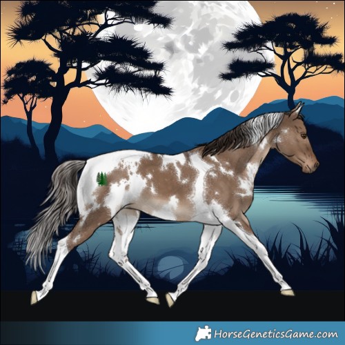 Horse Color:White Spotted Liver Red Dun Tobiano