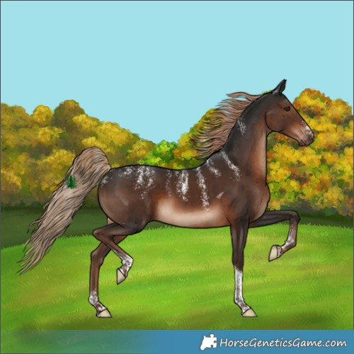 Horse Color:Powder White Liver Chestnut Tobiano 