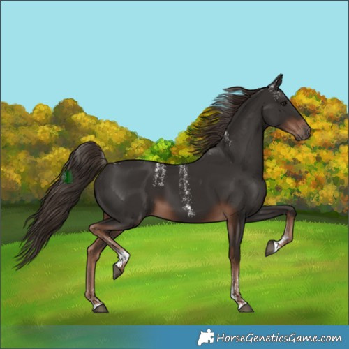 Horse Color:Powder White Liver Chestnut 