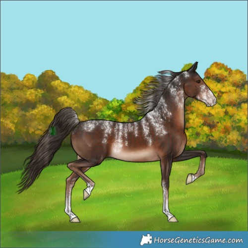 Horse Color:Powder White Liver Chestnut 