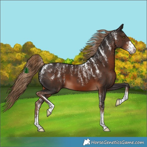 Horse Color:Powder White Liver Chestnut