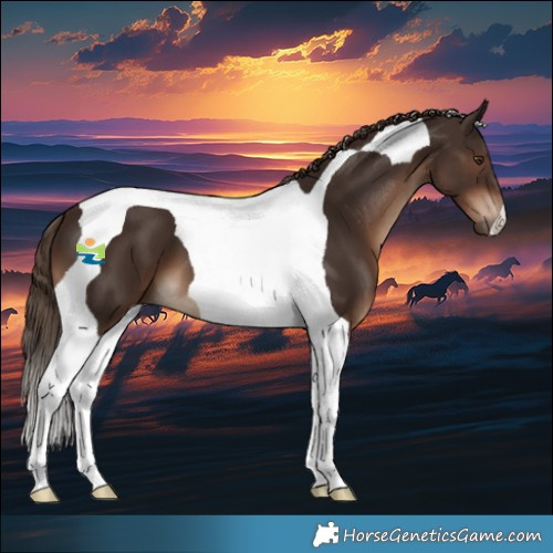 Horse Color:Liver Chestnut Tobiano 