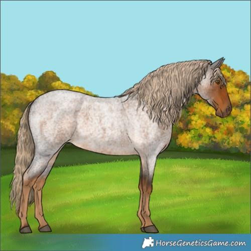 Horse Color:White Spotted Chocolate Palomino Roan 