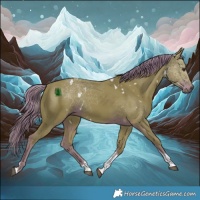 Horse Color:Watercolor White Spotted Liver Chestnut Tobiano