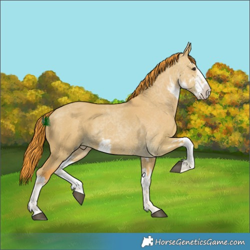 Horse Color:Watercolor White Spotted Liver Red Dun 