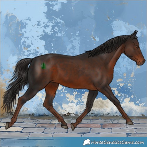 Horse Color:White Spotted Liver Chestnut 