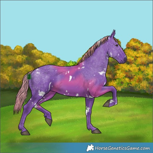 Horse Color:Watercolor White Spotted Liver Chestnut 