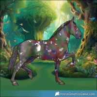 Horse Color:Nacre White Spotted Liver Chestnut