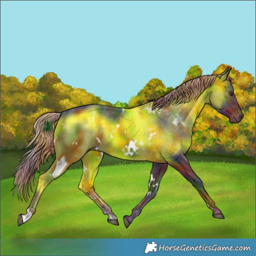 Horse Color:Nacre White Spotted Liver Chestnut 