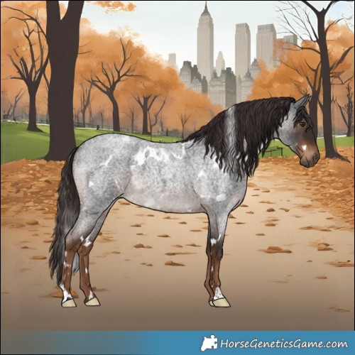 Horse Color:White Spotted Liver Red Roan 