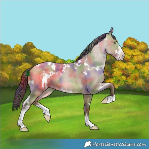 Horse Color:Nacre White Spotted Sable Champagne Dun Sabino 