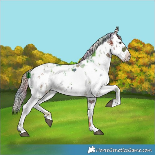Horse Color:Nacre White Spotted Chocolate Palomino Sabino 