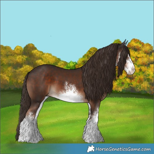 Horse Color:White Spotted Liver Chestnut 