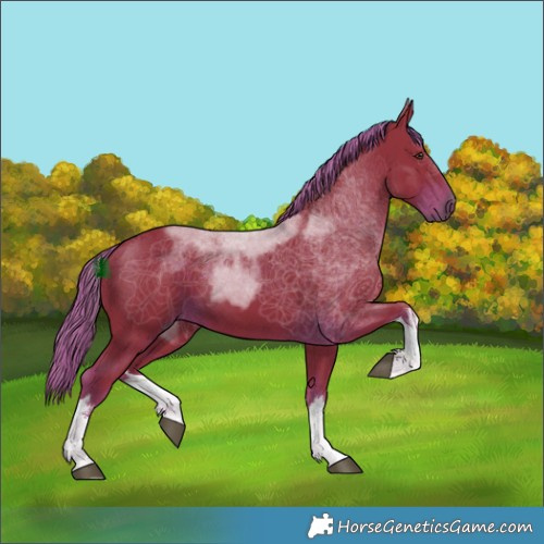 Horse Color:Watercolor White Spotted Liver Chestnut Tobiano 