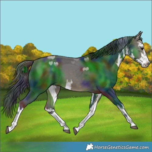 Horse Color:Nacre White Spotted Buckskin 