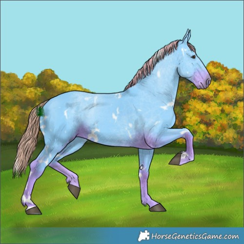Horse Color:Watercolor White Spotted Liver Chestnut 