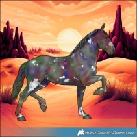 Horse Color:Nacre White Spotted Liver Chestnut 