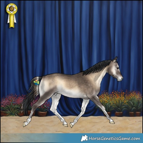 Horse Color:Brown Onyx 
