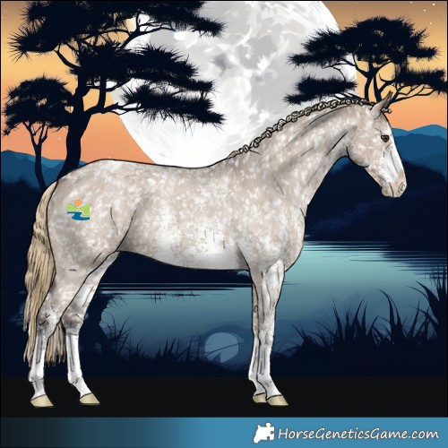 Horse Color:Liver Red Dun Sabino Snowflake VarnishBrindle 