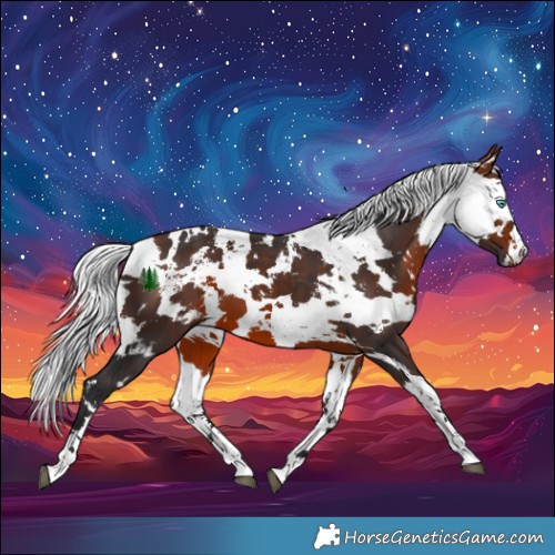 Horse Color:White Spotted Bay Harlequin Merle