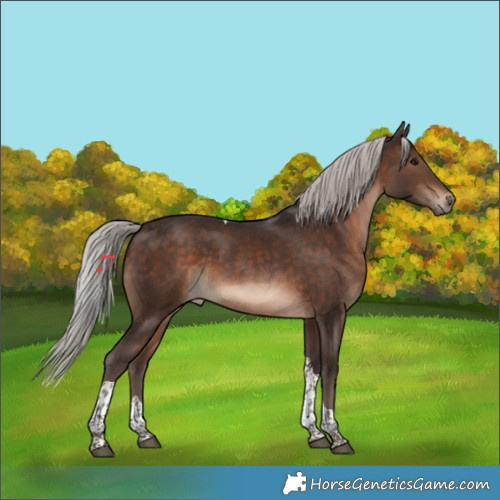 Horse Color:Silver Brown Tobiano 