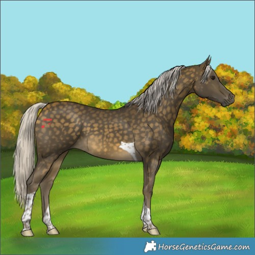 Horse Color:Silver Buckskin Tobiano 